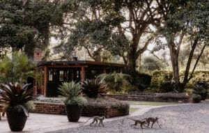 Elewana Collection Arusha Coffee Plantation