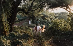 Elewana Collection Ngorongoro Manor