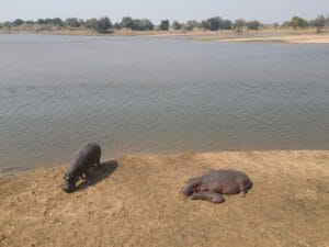 Nyamatusi ManaPool NikitaRix July2024 HighQuality 11